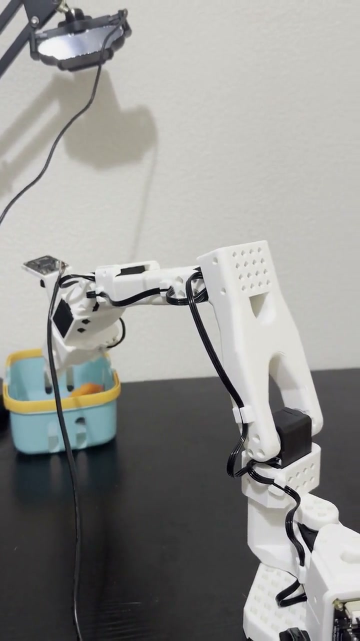 The final frame of the carrot-to-box replay shown in Figure 12.